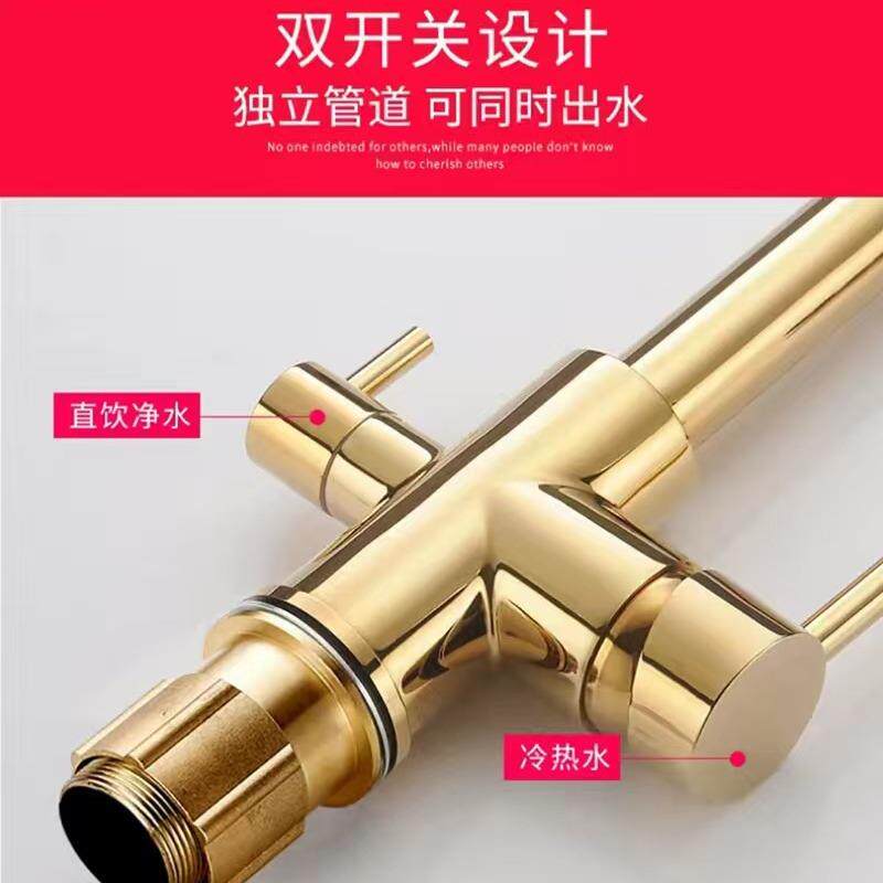 新款直销全铜厨房净水龙头三合一自来水直饮双用菜池水槽跨境净水