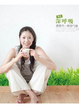 新款直销SK7016 绿草地踢脚线 玄关橱窗卧室客厅橱柜装饰墙贴