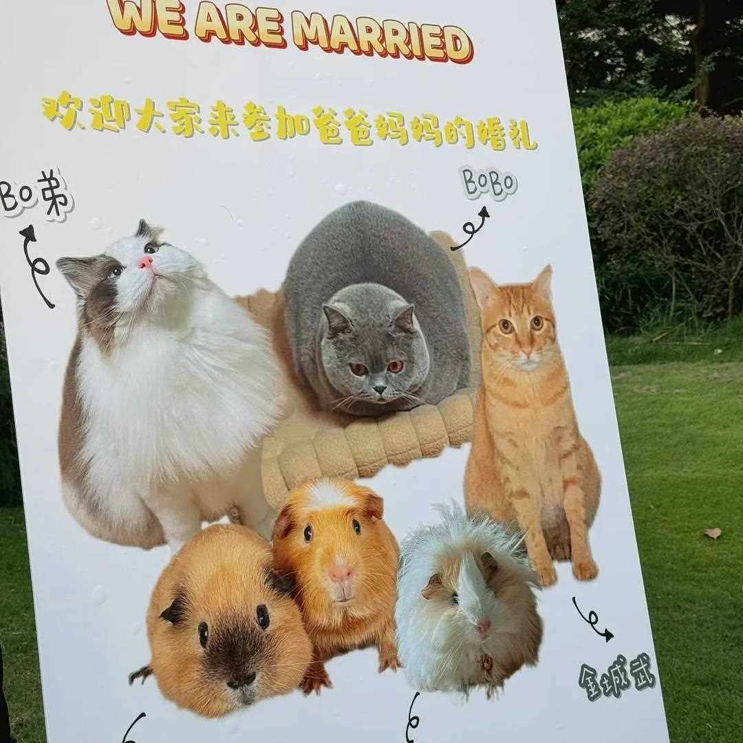 新款直销结婚订婚户外婚礼宠物迎宾水牌海报易拉宝个性kt板酒店游