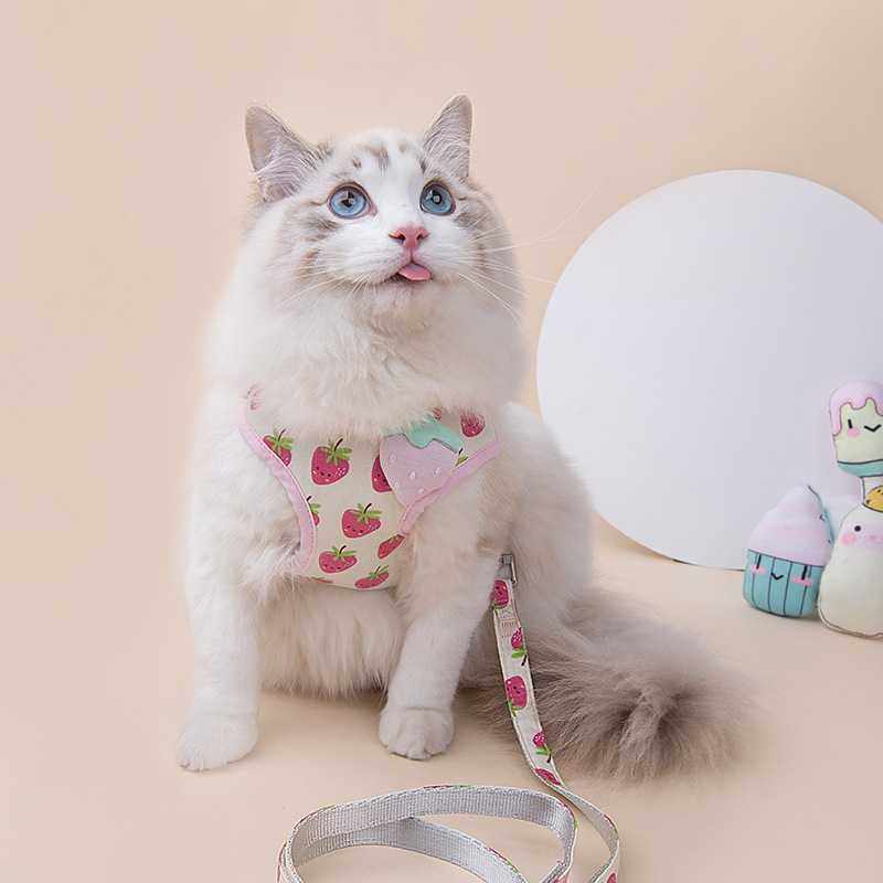 新款直销宠物用品狗狗宠物牵引绳 水果印花狗狗胸背带 防挣脱可调,宠物/宠物食品及用品,猫牵引绳,淘宝优惠券,粉丝福利购,淘宝优惠卷