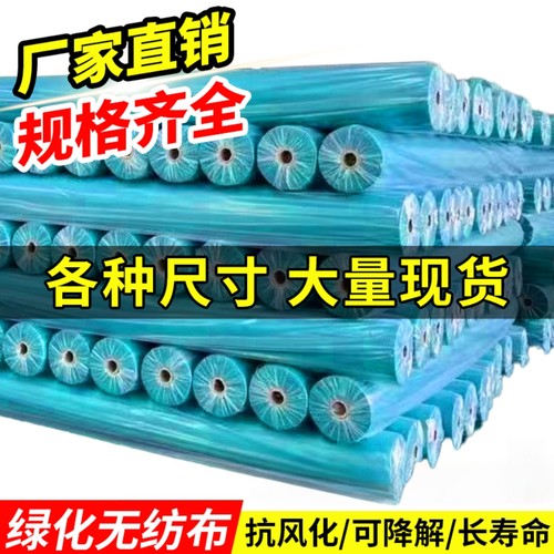 绿化无纺布边坡覆绿草坪育苗