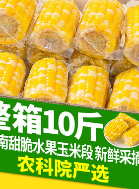 分装瓶收纳罐10斤云南水果甜玉米段开袋即食真空包装玉米学生宿舍