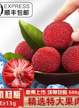 分装瓶收纳罐新果上市_闽臻冰杨梅特大果漳州京德福新鲜杨梅冰球