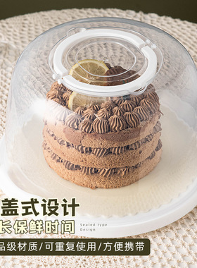 分装瓶收纳罐8寸重复利用塑料蛋糕盒手提生日蛋糕盒子透明收纳包