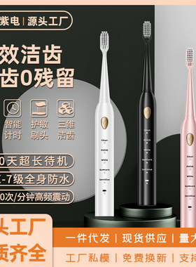 空盒子电动牙刷充电款跨境成人款软毛自动声波充电式智能洁牙神器