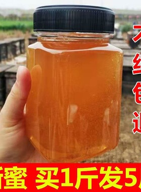 分装瓶收纳罐W蜂蜜天然蜂农自产原蜜结晶蜜成熟洋槐蜜