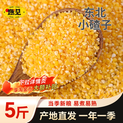 东北玉米小碴子2025农家新货