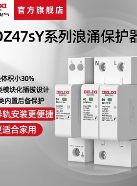 德力西电气浪涌保护器电源防雷器避雷家用防雷电涌保护器320V385V
