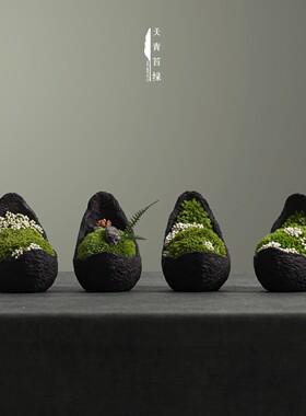 Spatio天青苔绿新中式永生苔藓微景观样板间家居儿童房桌面迷你品