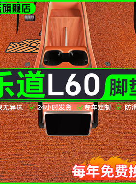 2024款蔚来乐道lL60专用丝圈脚垫汽车装饰配件用品内饰改装件大全