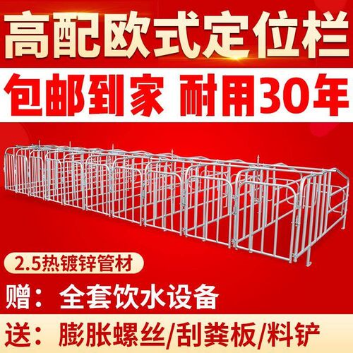 厂促母猪定位栏加热镀2.5漏粪板限位栏厚养5保位10位猪产床育床殖