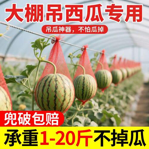 特厚大棚吊西瓜专用网兜吊哈密瓜南瓜网袋装甲鱼的小网眼袋子