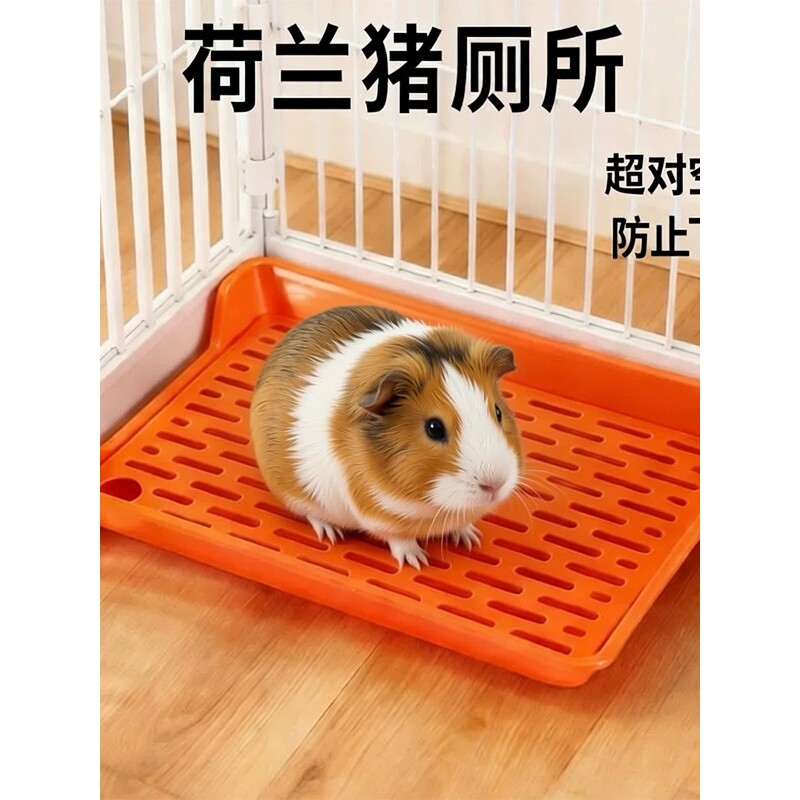 荷兰猪厕所防溅兔子豚鼠龙猫专用小号不卡脚定点便盆尿盆小宠用品