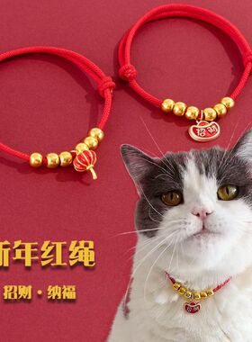 新年猫咪项圈无声龙年猫猫装饰小猫咪红绳编织幼崽颈圈红色喜庆
