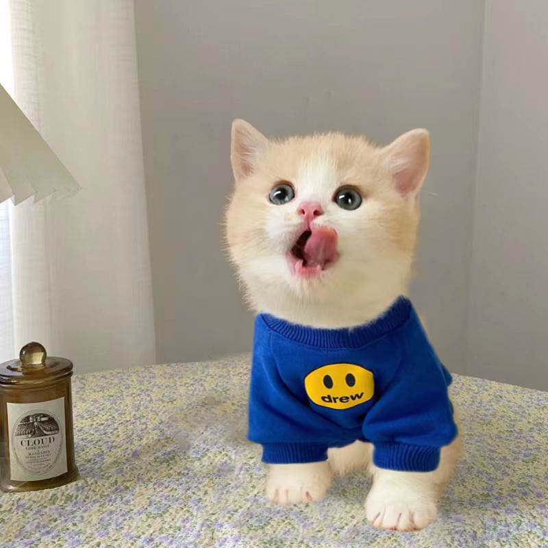 拿破仑矮脚猫专用衣服秋装保暖米努特短腿曼基康幼猫小奶猫过冬用
