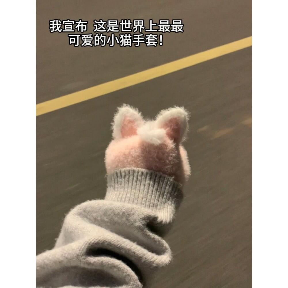 【小猫耳朵太萌了】保暖手套冬季防寒防冻毛绒绒骑行车珊瑚绒可爱