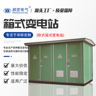 鹏变500KVA欧式 箱变光伏箱变变电站集成 箱变配电房开关柜美式