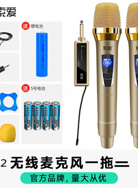 索爱MD2无线麦克风手持一拖二话筒户外演出主持会议电脑可调频U段