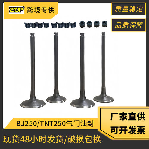 摩托车发动机气门油封适用 benelli BJ250 TNT250 BJ250-15A 气门