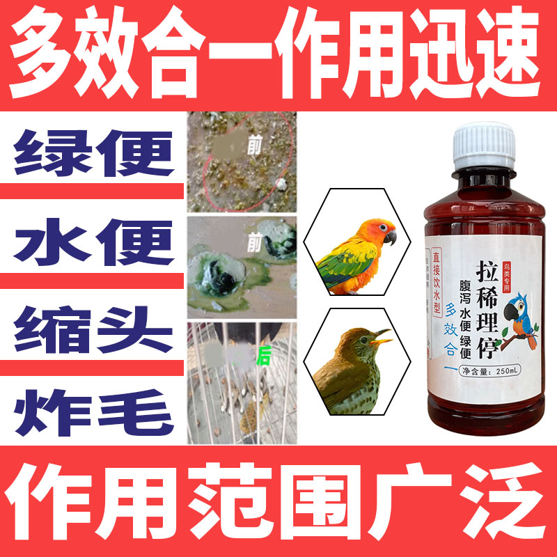 鸟类专用拉稀消炎鹦鹉鸽子鹩哥八哥水便画眉绿色粪便腹泻