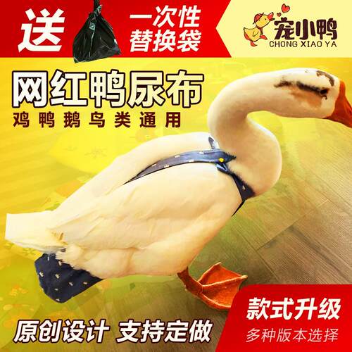 柯尔鸭纸尿裤小子不湿防
