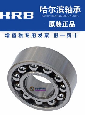 双列调心球轴承1307 1308 1309 1310 1311 1312ATN AKT