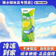 蒙牛哈蜜蜜雪糕哈密瓜口味冰淇淋童年经典 网红冷饮冰激凌冰棍棒冰