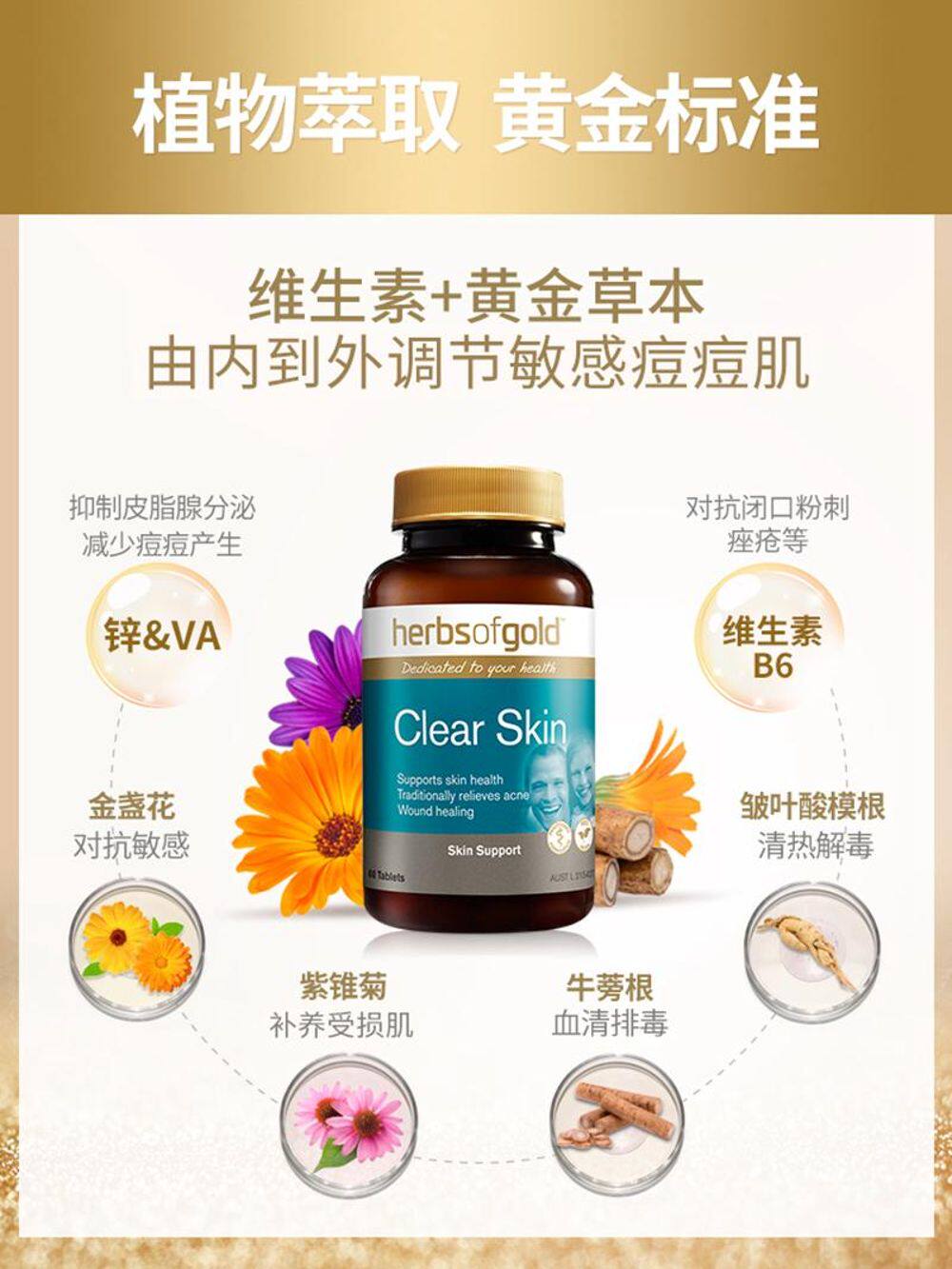 herbsgold维生素b6祛清痘片淡痘印皮肤洁去闭口口其它植物提取物