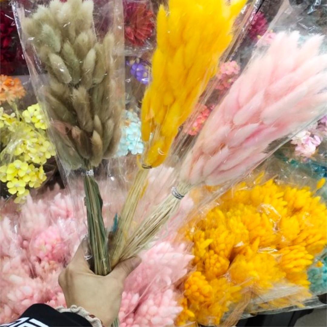 兔尾草干花永生花兔尾草花艺造型插花手工DIY花束花材昆明直发
