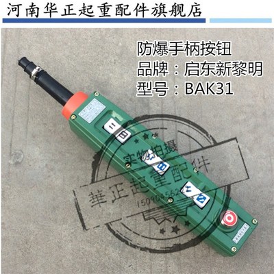 极速防爆电动葫芦手柄开关BAK21 BAK31 BLAK41启东新黎明防爆控制