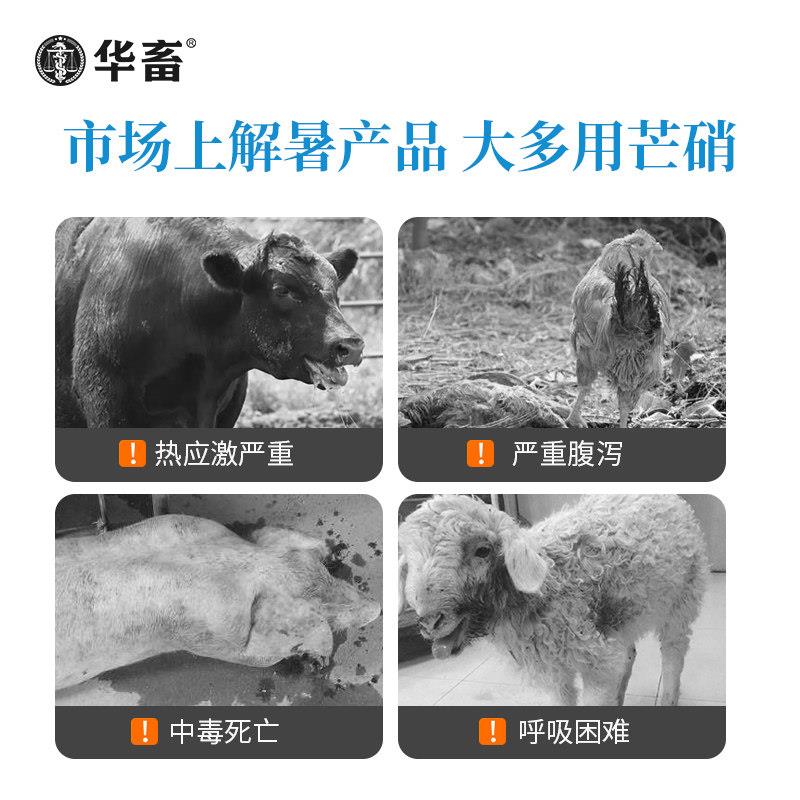 ·10袋装 华畜兽用冰爽vc维生素c可溶粉猪牛羊禽抗应激解毒清凉一