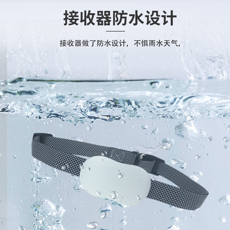 新品狗狗止吠器防狗叫扰民自动遥控智能H电击项圈训狗脖圈发声训图片