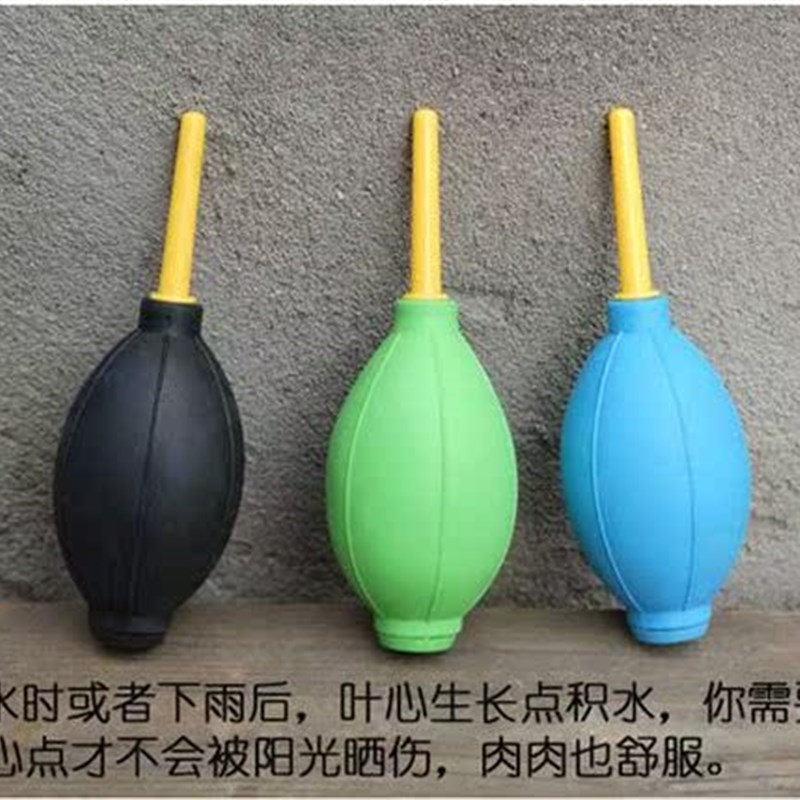 极速花目蓝 园艺多肉植物盆栽种植工具12件套N装 铲子 起苗器 洒