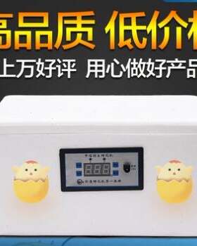 新品厂销包邮鸡蛋自动孵化器小鸡孵蛋器孵化设备鸡蛋鸭Z蛋鹅蛋家