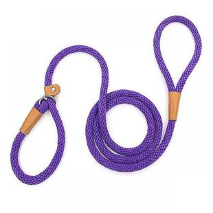 Lead Rope Collar Solid 速发Dog Nylon Dog Slip Leash