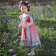 2025新款 儿童装 古风女孩宝宝夏季 汉服女童连衣裙夏装 唐装 公主裙子