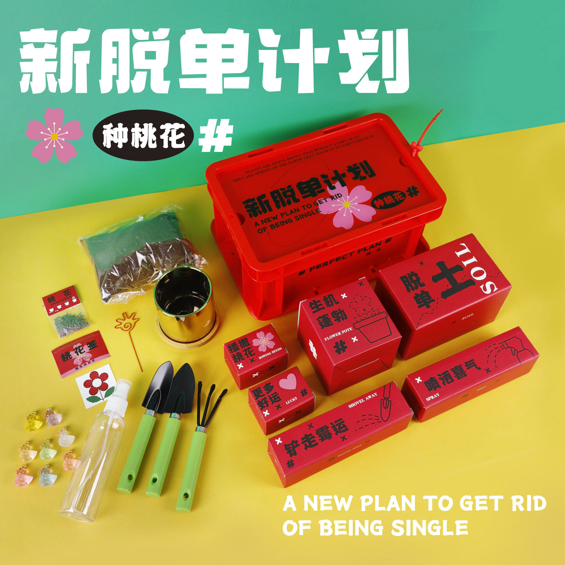 新脱单计划种桃花送闺蜜男女朋友生日礼物DIY创意个性特别礼品