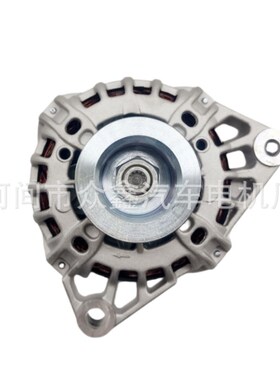 612600090816 1000179901 WP10发电机 AVIH2080