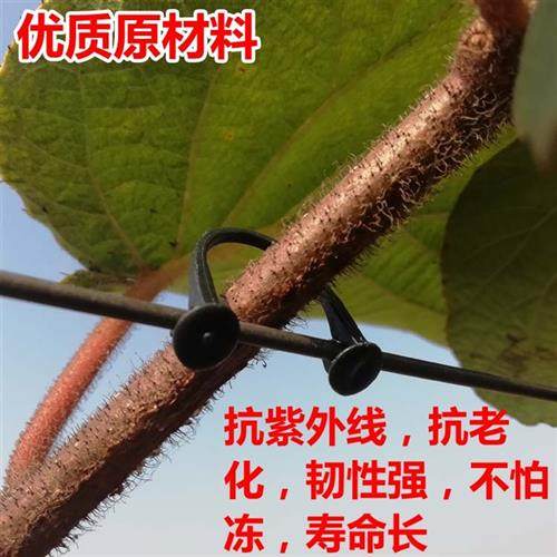 包邮猕猴桃葡萄树种植绑枝卡扣机绑蔓挂钩扎丝枝条缚固定塑料卡子