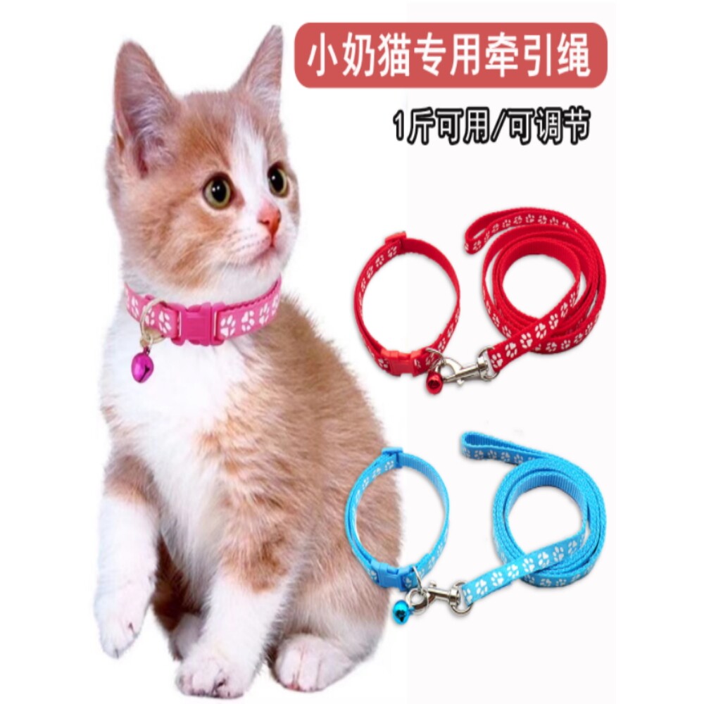 猫咪牵引绳小奶猫防挣脱外出专用项圈可调节遛猫绳子幼猫铃铛套脖