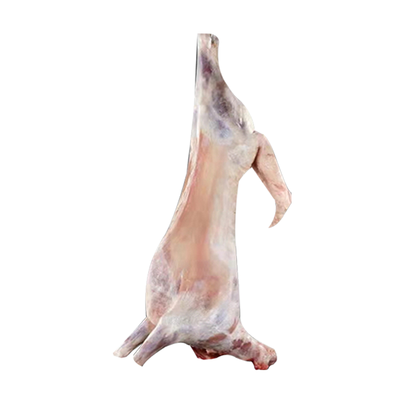 宁羴源宁夏滩羊整只16/30斤手抓羊肉肋排前腿烤全羊新鲜生羊肉