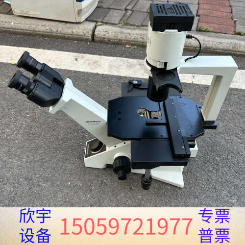 OLYMPUS奥林巴斯CKX31SF倒置显微镜.议价