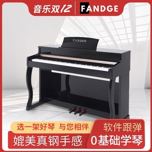 钢琴F81 88键电钢专业儿童幼师成人家用重锤数码 梵蒂格Y09立式 新款