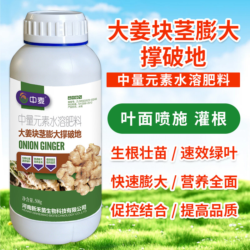 大姜块茎膨大撑破地姜类专用