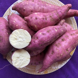 2024高山板栗白心红薯老品种糯甜恩施红芍农家 红皮红薯 5斤