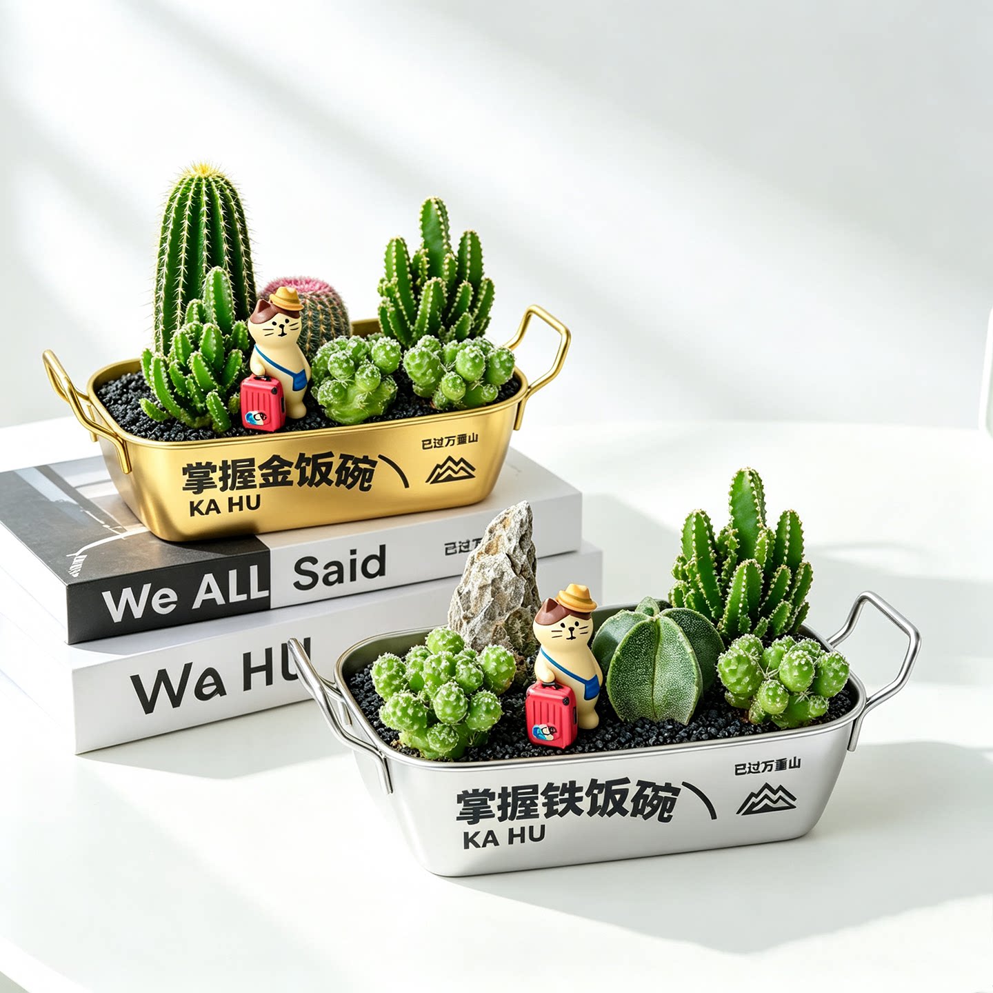 铁饭碗多肉植物仙人掌组合盆栽室内桌面办公室绿植好养生日送礼物