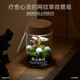 微景观生态瓶苔藓造景绿植摆件室内工位办公桌面禁止焦虑小盆栽