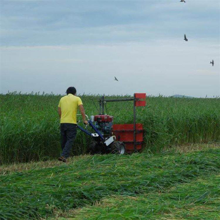 手推稻谷收割机 整机一体小型割晒机 青蒿放片手扶收草机