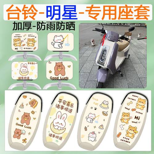 台铃超能6明星EB专用电动车座套