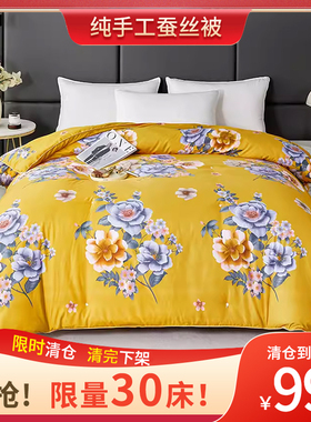 【厂家亏本清仓】纯手工正宗双宫茧桑蚕丝被高档四季被芯含被套-D